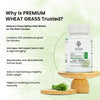 Life Aveda Premium Wheat Grass Benefits
